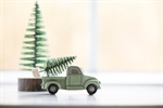 Juletræ på fod fra Ib Laursen ved grøn bil - Tinashjem